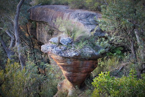 The Other Side Of The Blue Mountains - Tourism Gold Coast 4