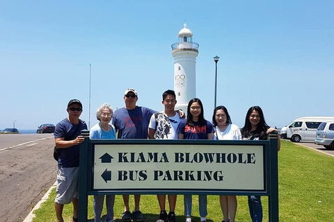 1Day Sydney Private Car Charter With Driver - Tourism Gold Coast 1