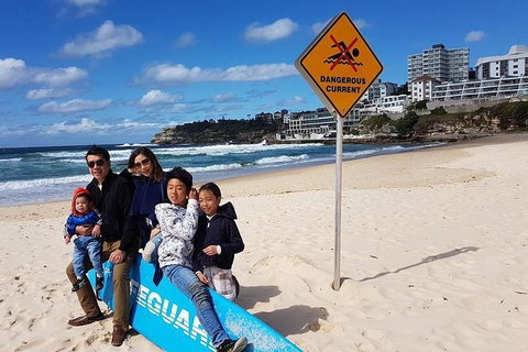 1Day Sydney Private Car Charter With Driver - Tourism Gold Coast 3