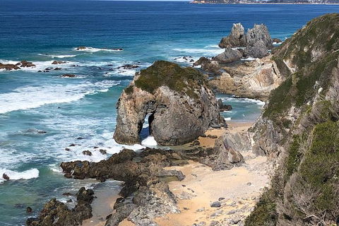 Narooma And Tilba Valley Private Tour - Gold Coast 8
