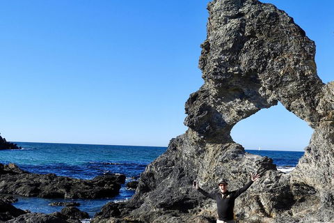 Narooma And Tilba Valley Private Tour - Gold Coast 4