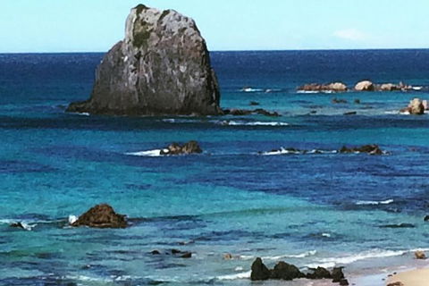 Narooma And Tilba Valley Private Tour - Gold Coast 9