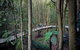 Blue Mountains PRIVATE Day Tour - thumb 11