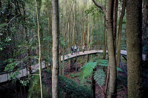 Blue Mountains PRIVATE Day Tour - Tourism Gold Coast 11