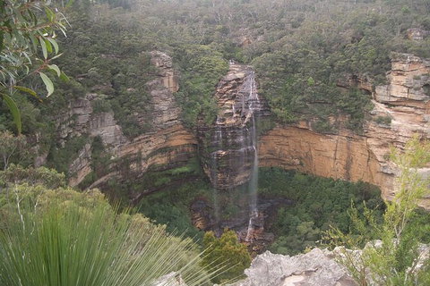 Blue Mountains PRIVATE Day Tour - Tourism Gold Coast 7