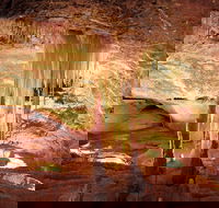 Jenolan Caves Ribbon Cave Tour - Tourism Gold Coast