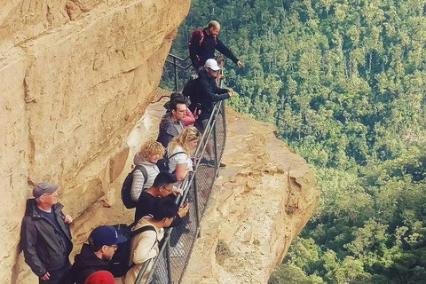 Two-Day Sydney Blue Mountains Sea To Summit Adventure - Tourism Gold Coast 2