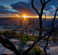 Ultimate Blue Mountains and Wildlife Tour - Tourism Gold Coast