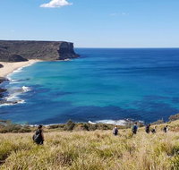 Hike into the Royal National Park - Tourism Gold Coast
