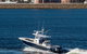Sydney Harbour Fishing - thumb 1