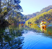 Middle Harbour Mangrove Explorer - Tourism Gold Coast