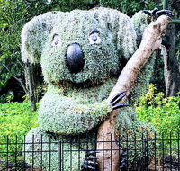 Discover Sydney - Botanic - Tourism Gold Coast