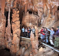 Blue Mountains Private Tour from Sydney with Jenolan Caves - Tourism Gold Coast