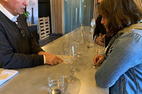 Hunter Valley Winery Tours - Tourism Gold Coast 9