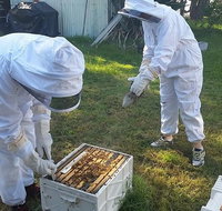 Hands On Beginner Beekeeping Class - Tourism Gold Coast