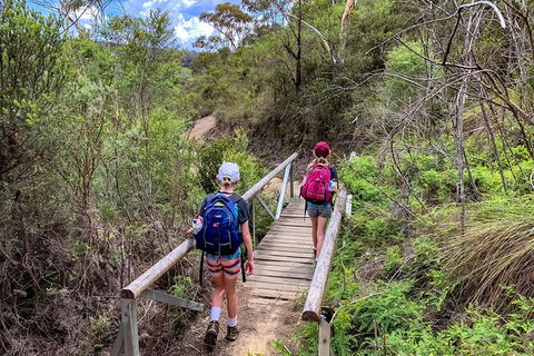 Blue Mountains Secret Places Adventure - Gold Coast 4