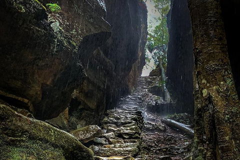 Blue Mountains Secret Places Adventure - Gold Coast 2