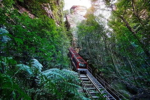 TooRoo Blue Mountains Private Tour - Tourism Gold Coast 3