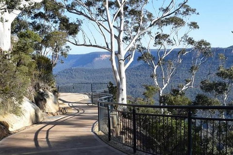 TooRoo Blue Mountains Private Tour - Tourism Gold Coast 2