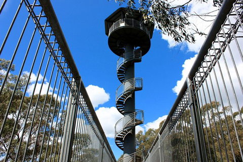 Illawarra Fly Treetop Adventures Admission Including Zipline Tour - Tourism Gold Coast 3
