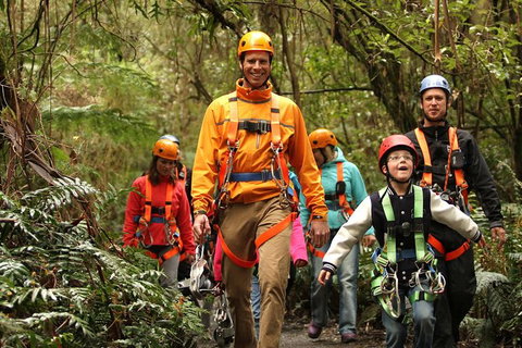 Illawarra Fly Treetop Adventures Admission Including Zipline Tour - Tourism Gold Coast 1