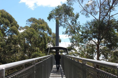 Illawarra Fly Treetop Adventures Admission Including Zipline Tour - Tourism Gold Coast 2
