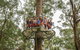 Illawarra Fly Treetop Adventures Admission Including Zipline Tour - thumb 4