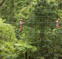 Illawarra Fly Treetop Adventures Admission Including Zipline Tour - Tourism Gold Coast