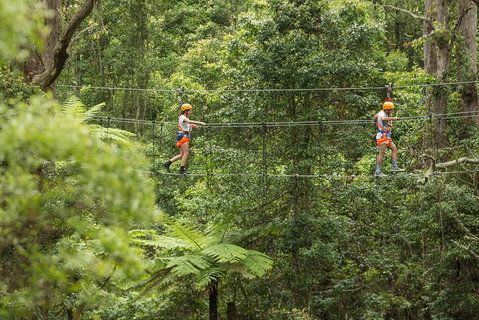 Illawarra Fly Treetop Adventures Admission Including Zipline Tour - Tourism Gold Coast 0