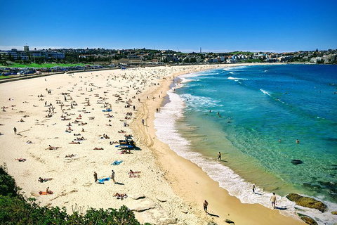 Sydney & Bondi Beach Plus Local Secrets With \'Personalised Sydney Tours\' - Tourism Gold Coast 12