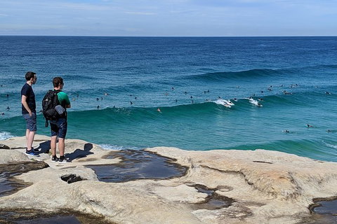 Sydney & Bondi Beach Plus Local Secrets With \'Personalised Sydney Tours\' - Tourism Gold Coast 13