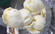 Taste Of Afghanistan Syria And Persia In Merrylands - thumb 7