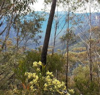 Blue Mountains - Tourism Gold Coast