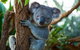 Best Sydney Tours By Life Long Locals - Hidden Gems & More - Lifetime Experience - thumb 1