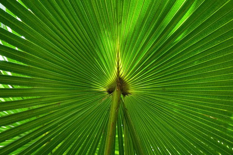 Photo Tour With An IPhone - Tourism Gold Coast 0