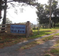 Interactive farm tours on a beef lamb and duck farm - Tourism Gold Coast