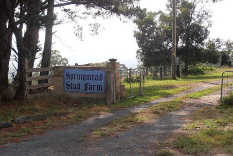 Interactive Farm Tours On A Beef, Lamb And Duck Farm - Tourism Gold Coast 0