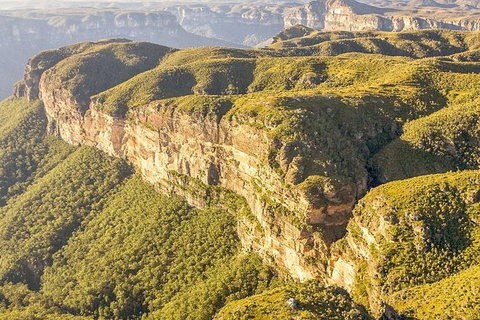 Small Group Blue Mountains, Featherdale, Lunch & Cruise Day Tour - Tourism Gold Coast 7