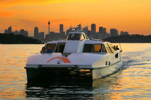 Small Group Blue Mountains, Featherdale, Lunch & Cruise Day Tour - Tourism Gold Coast 1