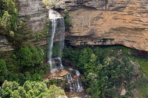 Small Group Blue Mountains, Featherdale, Lunch & Cruise Day Tour - Tourism Gold Coast 4