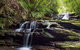Small Group Blue Mountains, Featherdale, Lunch & Cruise Day Tour - thumb 6