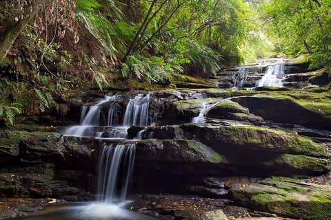 Small Group Blue Mountains, Featherdale, Lunch & Cruise Day Tour - Tourism Gold Coast 6