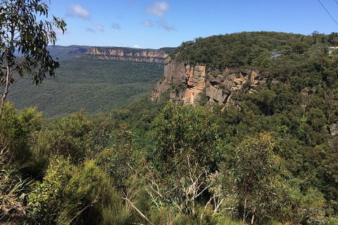 Small Group Blue Mountains, Featherdale, Lunch & Cruise Day Tour - Tourism Gold Coast 5