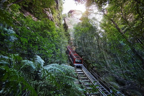 Small Group Blue Mountains, Featherdale, Lunch & Cruise Day Tour - Tourism Gold Coast 2