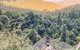 Small Group Blue Mountains, Featherdale, Lunch & Cruise Day Tour - thumb 9