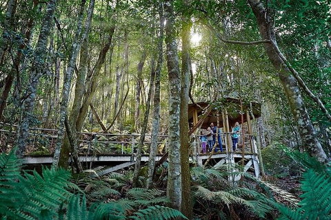 All-Inclusive Blue Mountains Tour In A Luxury Mercedes Sprinter - Tourism Gold Coast 6