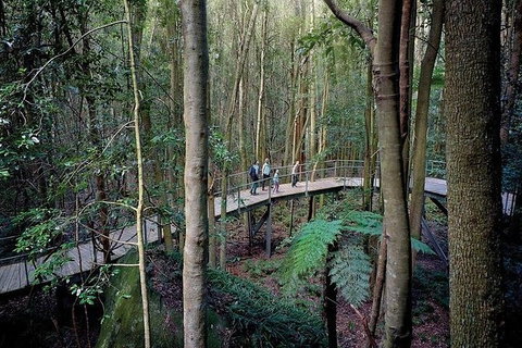 All-Inclusive Blue Mountains Tour In A Luxury Mercedes Sprinter - Tourism Gold Coast 13