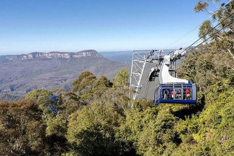 All-Inclusive Blue Mountains Tour In A Luxury Mercedes Sprinter - Tourism Gold Coast 11