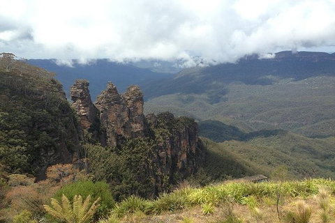 All-Inclusive Blue Mountains Tour In A Luxury Mercedes Sprinter - Tourism Gold Coast 3