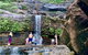 Private Guided: Blue Mountains Hiking & Nature Tour - thumb 9